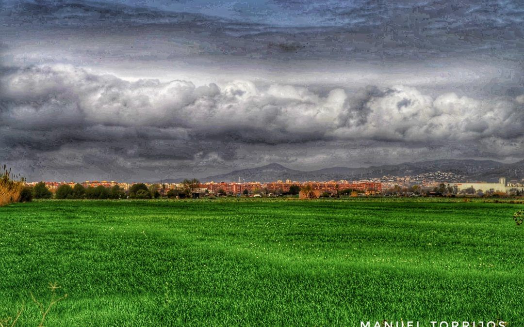 Postals del Prat