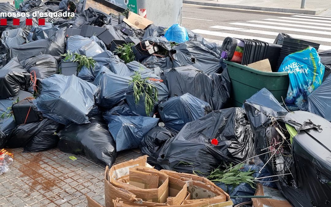 Desmantellat un edifici convertit en una factoria de marihuana