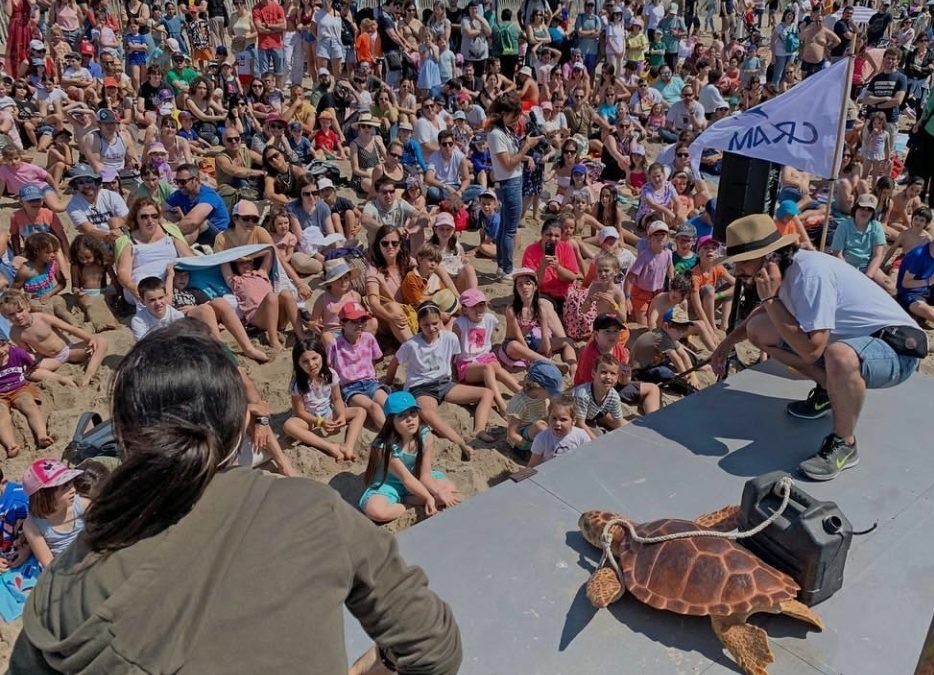 El CRAM allibera 4 tortugues a la Platja del Prat