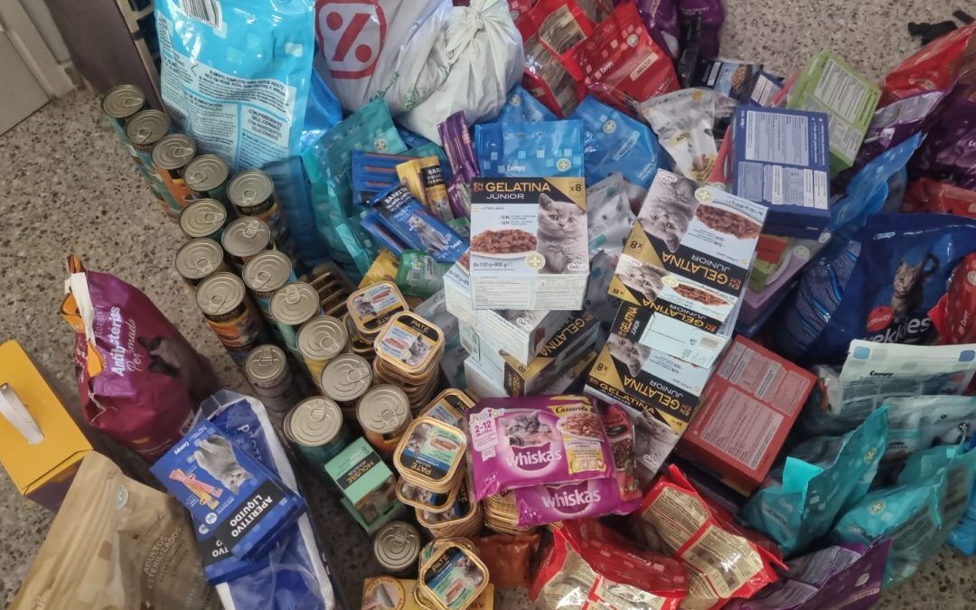 Gran éxito de la recogida de alimentos para el refugio felino.