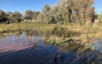 Denuncien l’endarreriment en l’execució de la ZEPA del delta del Llobregat