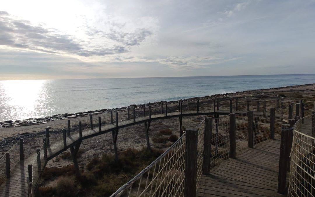 Postals del Prat