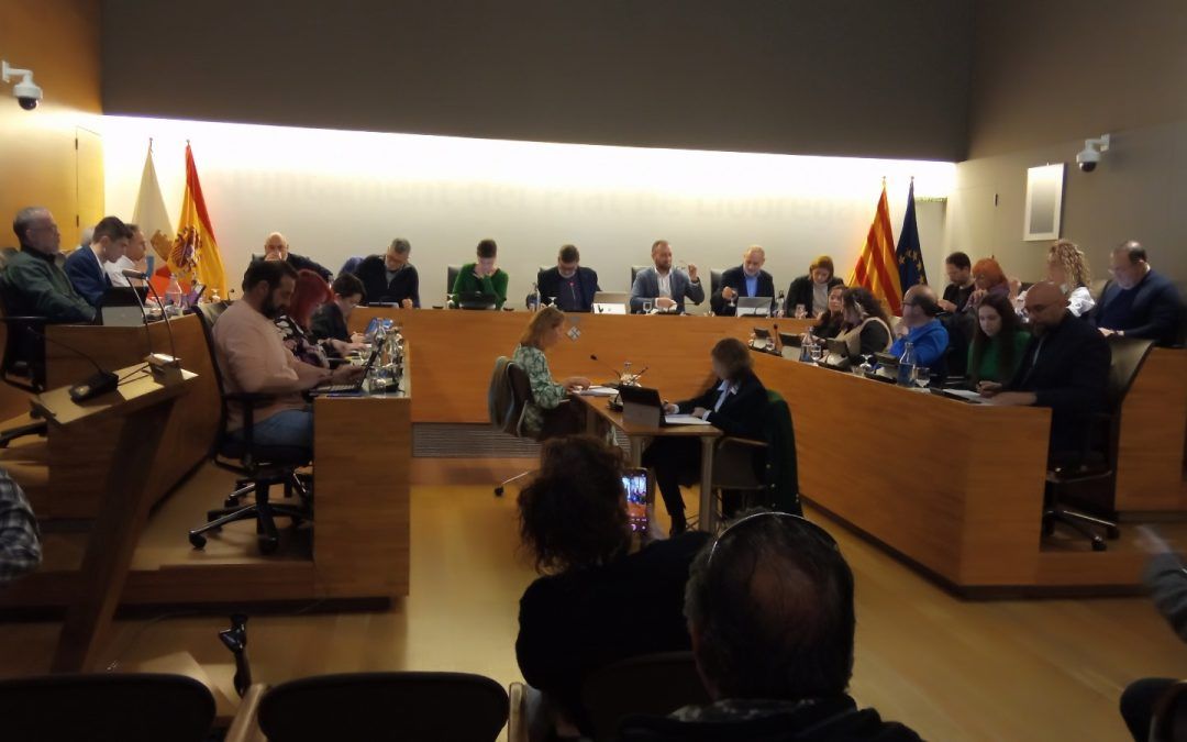 Crónica del Plé