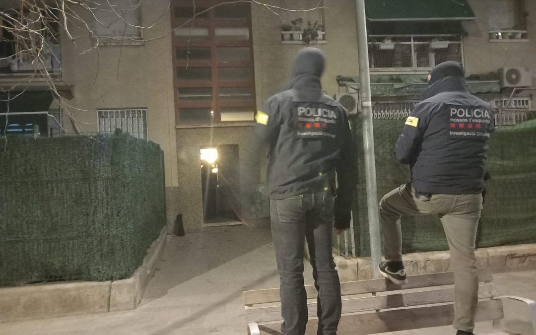 Mas de diez entradas y zulos de plantaciones de Marihuana