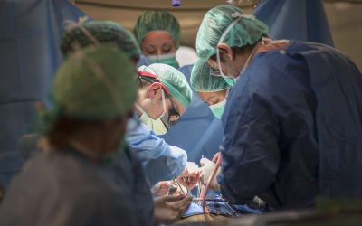 L’Hospital de Bellvitge ha estat el centre que ha realitzat més trasplantaments renals de donant viu a l’Estat en  2023