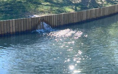 L’Agència Catalana de l’Aigua sanciona a l’Ajuntament amb 2.000 euros