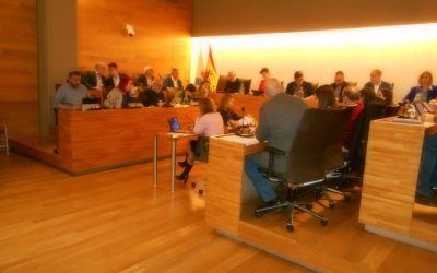 Crónica del ple