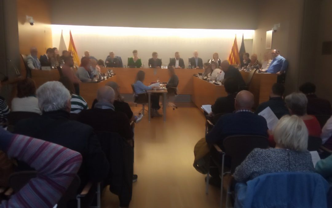 Crónica del ple del mes de març