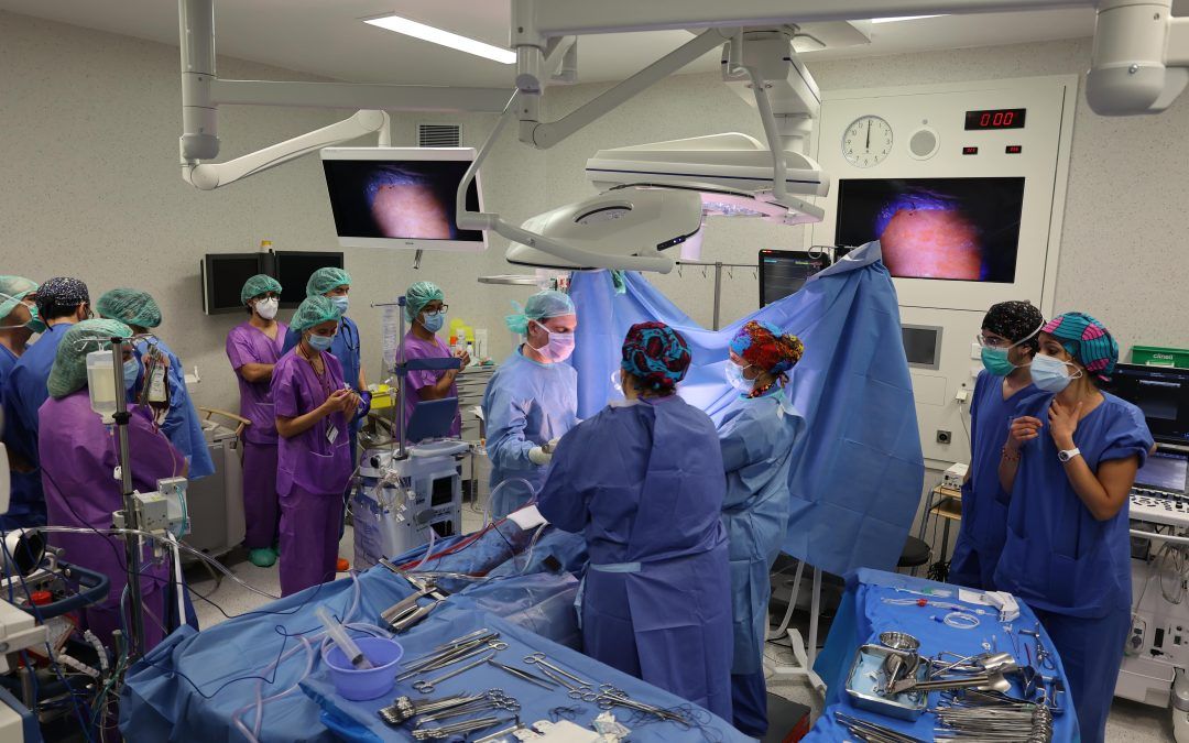 Els avenços tècnics permeten extreure i preservar més òrgans per a trasplantaments