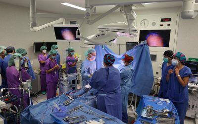 Els avenços tècnics permeten extreure i preservar més òrgans per a trasplantaments