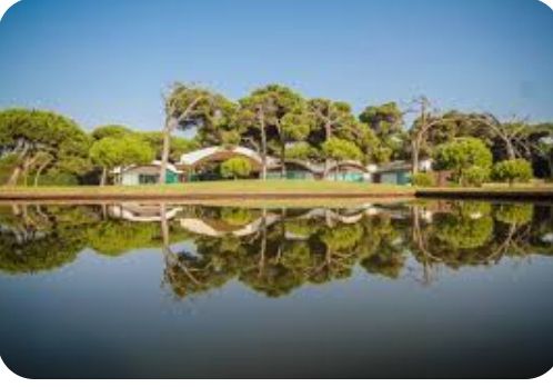 La casa Gomis una de las sedes de la Bienal Manifesta