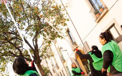 La Fundació Espigoladors presenta el projecte Urban(eat)a per promoure l’aprofitament alimentari dels fruits de l’arbrat urbà dels municipis del territori