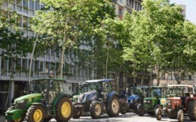 Los regantes de la derecha del Llobregat piden más agua