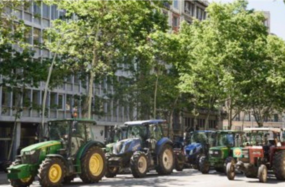 Los regantes de la derecha del Llobregat piden más agua