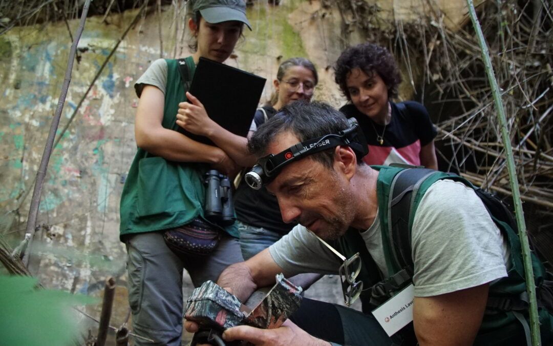 El riu Llobregat i els seus 192 passos de fauna: una oportunitat per millorar la connectivitat ecològica