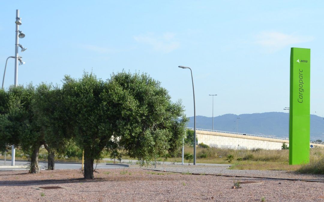 L’aeroport va creixent per convertir-se en ciutat aeroportuaria