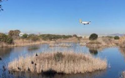 L’ampliació de les zones ZEPA del Delta del Llobregat i el seu impacte en l’expansió de l’aeroport del Prat
