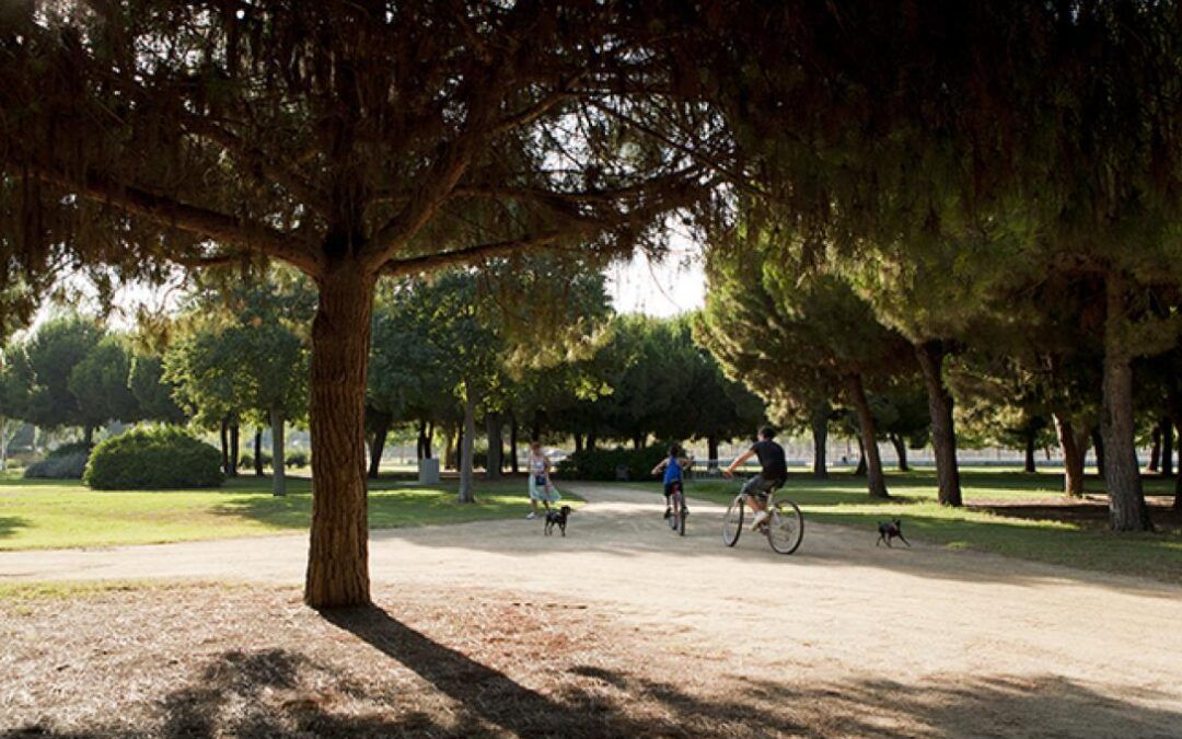 Junts pel Prat Proposa la Millora de les Zones Verdes Urbanes