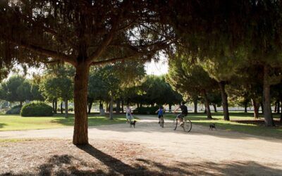 Junts pel Prat Proposa la Millora de les Zones Verdes Urbanes