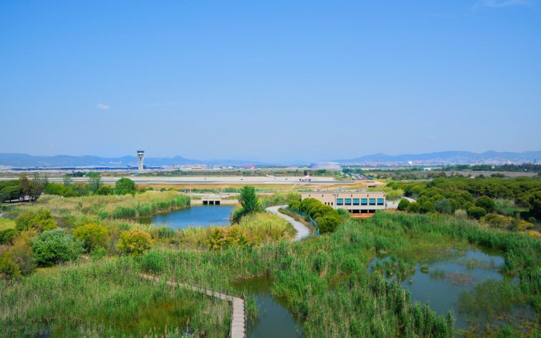 Postals del Prat