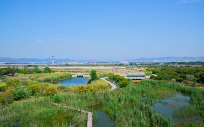 Postals del Prat