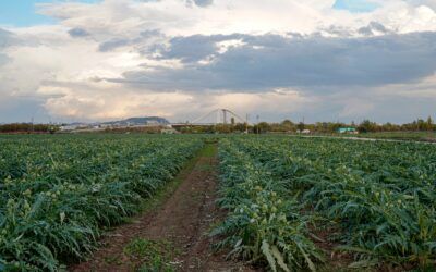 Postals del Prat