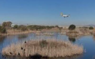El Govern designa la comissió per l’ampliació de l’Aeroport del Prat
