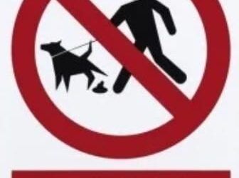 El Ple d’Octubre Rebutja la Moció de Sancionar Comportaments Incívics de Propietaris de Mascotes