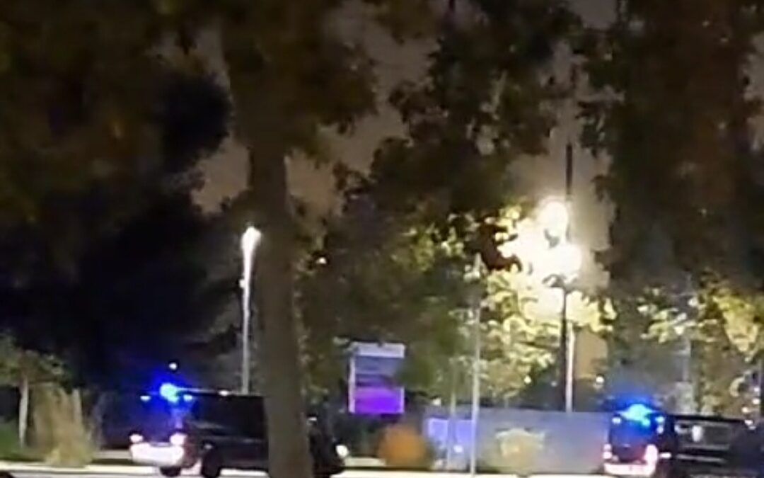 Ampli dispositiu policial per la cerca d’armes i drogues després dels tirotejos entre clans rivals