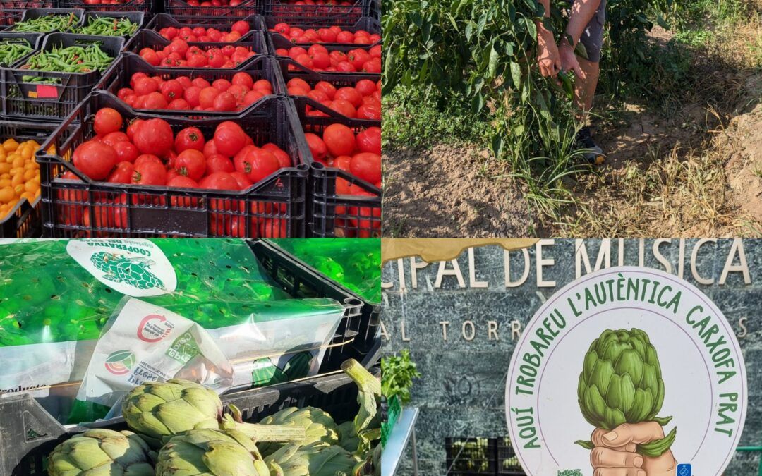 La Carxofa Prat, al Fòrum Gastronòmic 2024