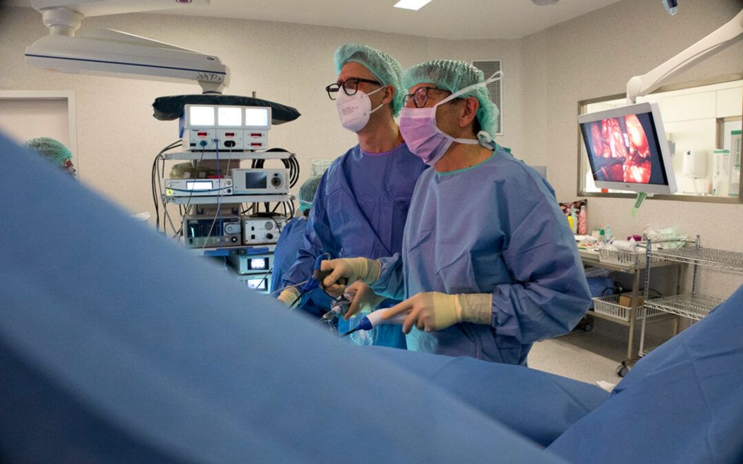 Descobert un mecanisme clau per millorar la recuperació dels trasplantaments renals