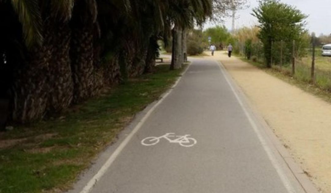 Problemas con el Carril Bici de la Buñola