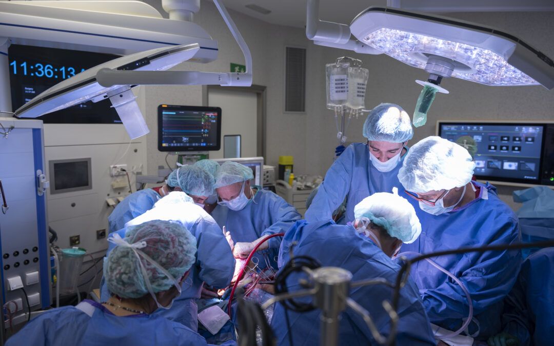 L’Hospital de Bellvitge lidera els trasplantaments cardíacs i renals a Catalunya el 2024