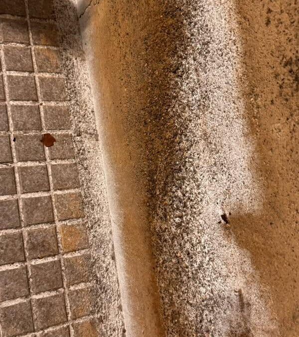Preocupació veïnal pel pols blanc acumulat als voltants de l’empresa Plastiverd