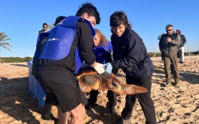 La Fundació CRAM atén 148 exemplars de fauna marina a la costa catalana el 2024