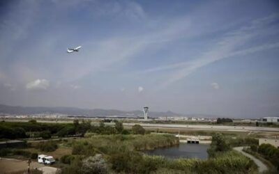 El nou pla de protecció del Delta del Llobregat inclourà la Ricarda