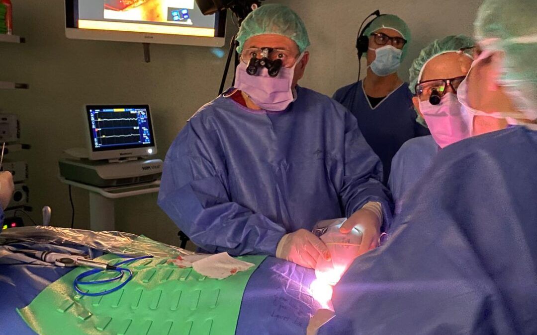 Especialistes de tot el món presenten a l’Hospital de Bellvitge els últims avenços en cirurgia endocrina
