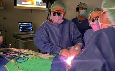 Especialistes de tot el món presenten a l’Hospital de Bellvitge els últims avenços en cirurgia endocrina