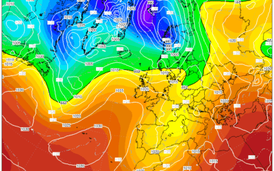 Martes variable