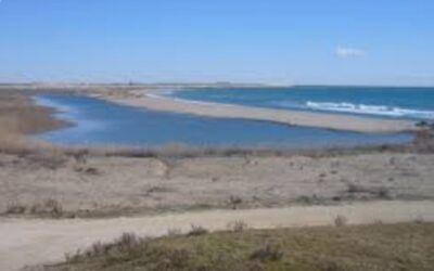 Proposen la creació d’un gran Parc Natural i Agrari per protegir el delta del Llobregat