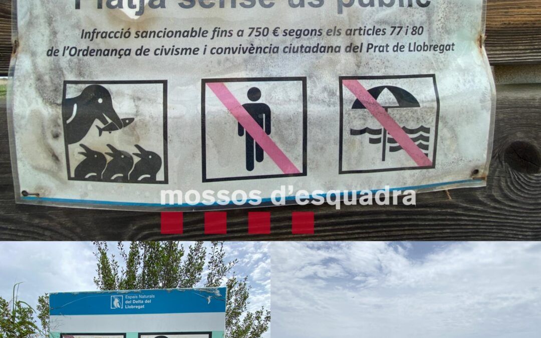 Denunciades quatre persones per accedir a una zona protegida del Delta del Llobregat