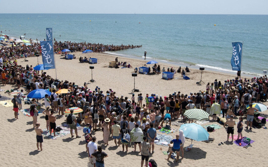 Cinc tortugues marines tornen al mar en una festa plena d’esperança i emoció al Prat