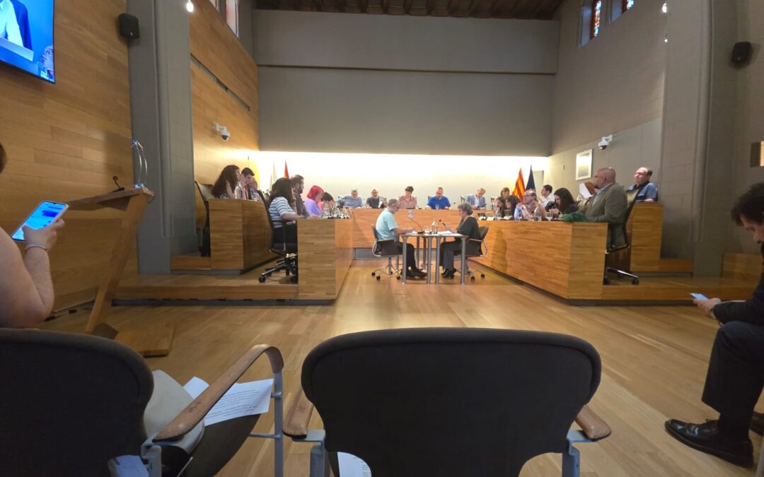 Crónica del ple
