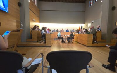 Crónica del ple