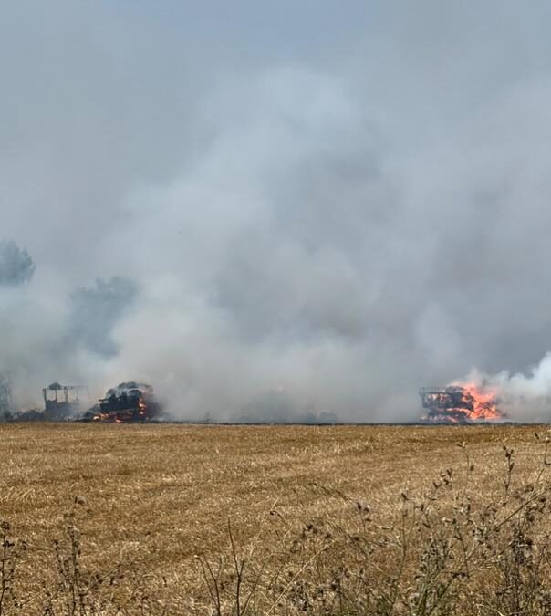 Incendi a tocar del cementiri del Prat: 1,2 hectàrees calcinades i cinc remolcs afectats