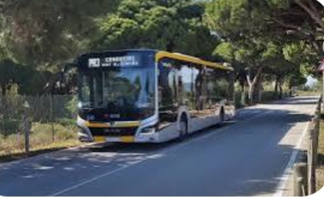 El Prat activa el reforç d’autobusos cap a la platja per viure un estiu més accessible i còmode