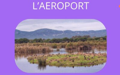 Podem El Prat alça la veu contra l’ampliació de l’aeroport: “És una línia vermella”