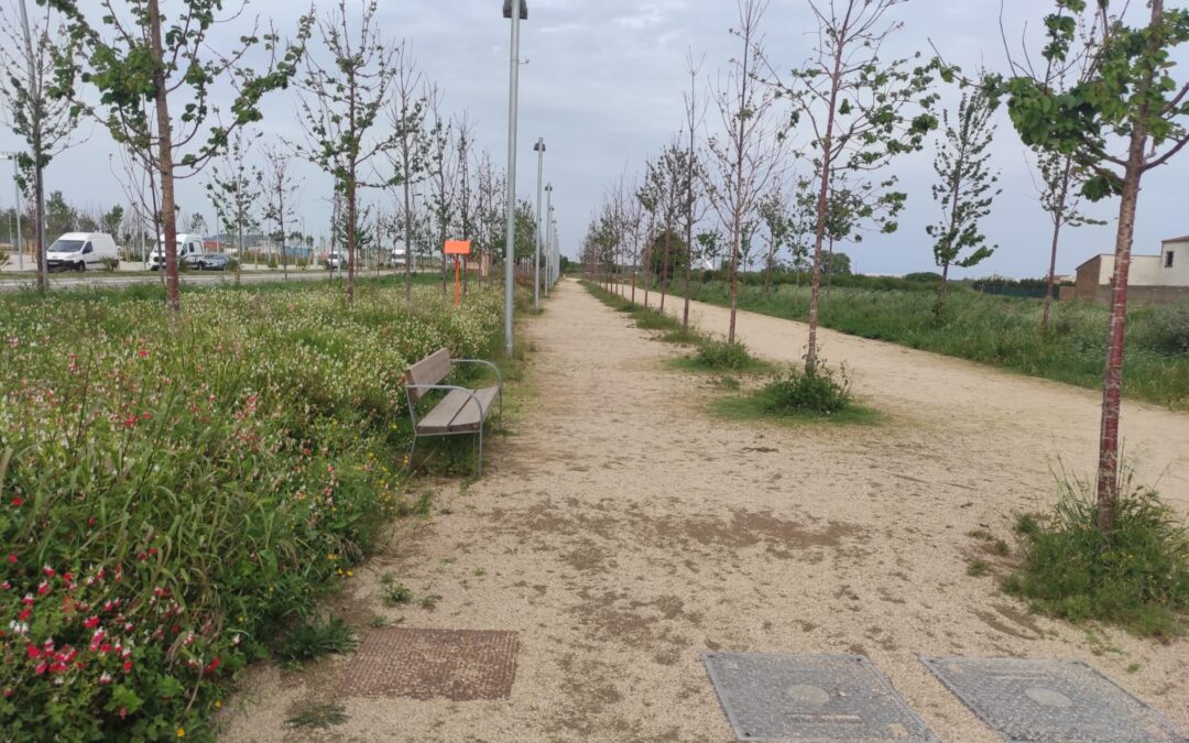 Postals del Prat