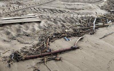 El estado de nuestra playa