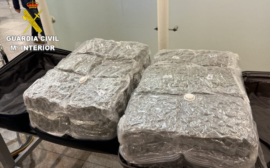 Detectada al Prat una nova ruta internacional de tràfic de marihuana procedent de Tailàndia